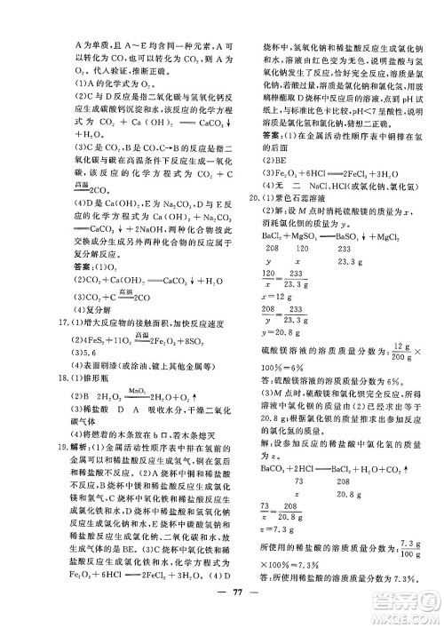 青海人民出版社2025年春新坐标同步练习九年级化学下册人教版青海专版答案