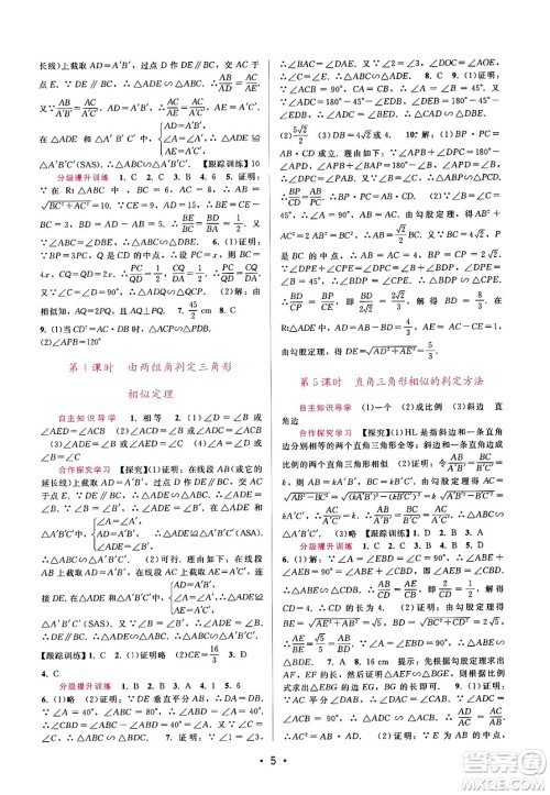 广西师范大学出版社2025年春自主与互动学习新课程学习辅导九年级数学下册人教版答案