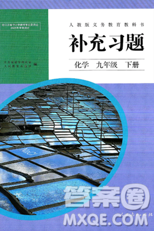 人民教育出版社2025年春补充习题九年级化学下册人教版答案