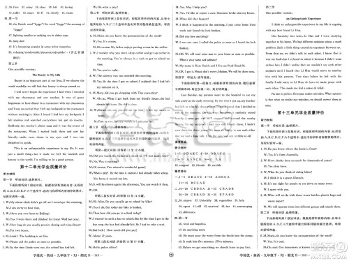 延边大学出版社2025年春优翼学练优九年级英语下册人教版湖北专版答案