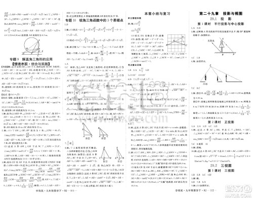 延边大学出版社2025年春优翼学练优九年级数学下册人教版答案
