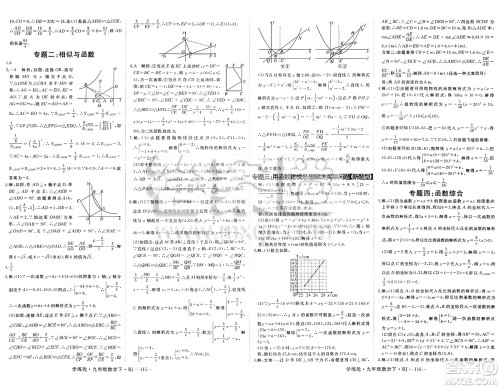 延边大学出版社2025年春优翼学练优九年级数学下册人教版答案