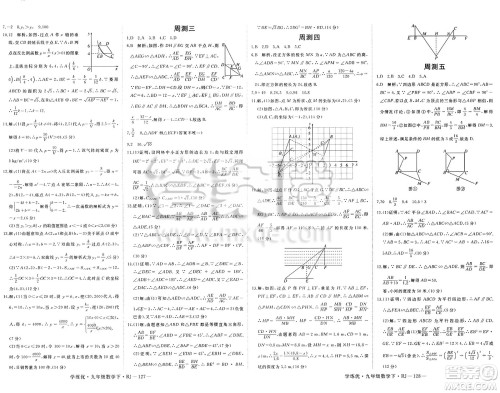 延边大学出版社2025年春优翼学练优九年级数学下册人教版答案