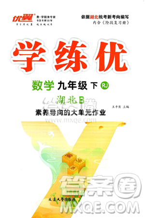 延边大学出版社2025年春优翼学练优九年级数学下册人教版湖北专版答案