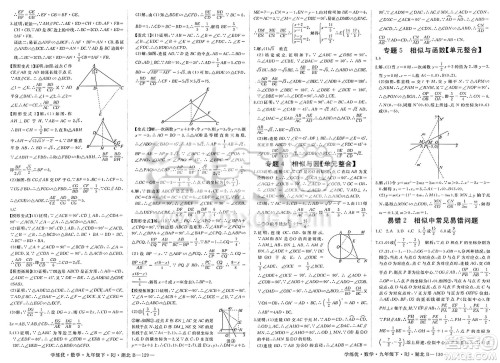 延边大学出版社2025年春优翼学练优九年级数学下册人教版湖北专版答案