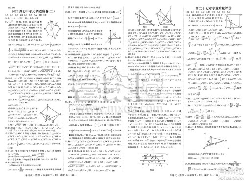 延边大学出版社2025年春优翼学练优九年级数学下册人教版湖北专版答案