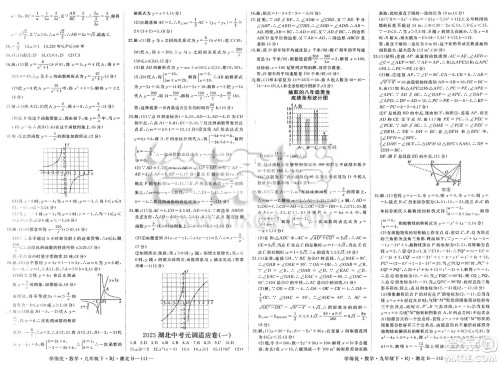 延边大学出版社2025年春优翼学练优九年级数学下册人教版湖北专版答案