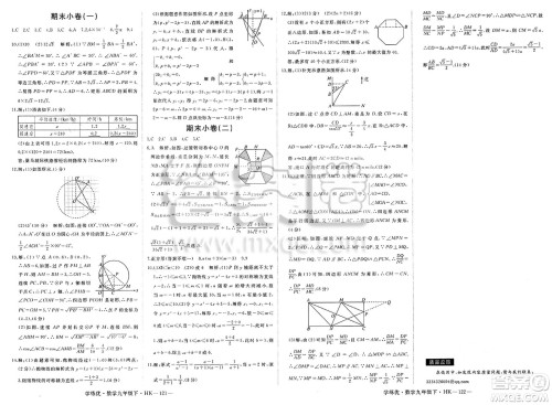 延边大学出版社2025年春优翼学练优九年级数学下册沪科版答案
