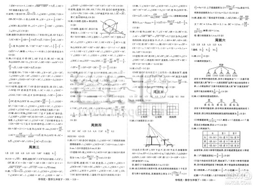 延边大学出版社2025年春优翼学练优九年级数学下册沪科版答案