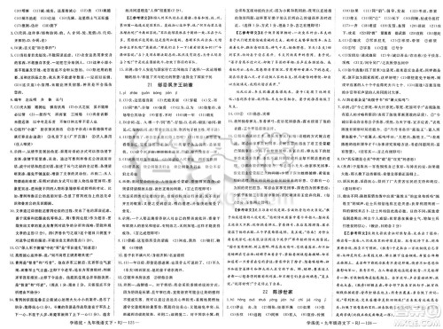 延边大学出版社2025年春优翼学练优九年级语文下册人教版答案