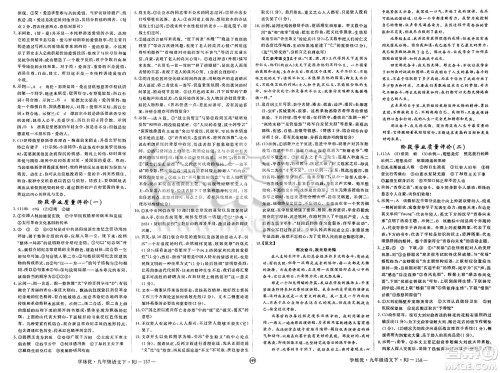 延边大学出版社2025年春优翼学练优九年级语文下册人教版河南专版答案 延边大学出版社2025年春优翼学练优九年级语文下册人教版河南专版答案