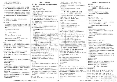 延边大学出版社2025年春优翼学练优九年级化学下册人教版湖北专版答案