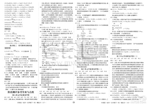 延边大学出版社2025年春优翼学练优九年级化学下册人教版湖北专版答案