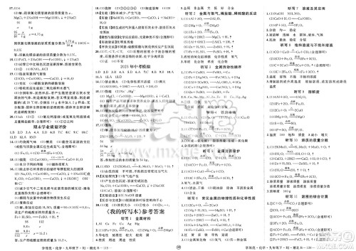 延边大学出版社2025年春优翼学练优九年级化学下册人教版湖北专版答案