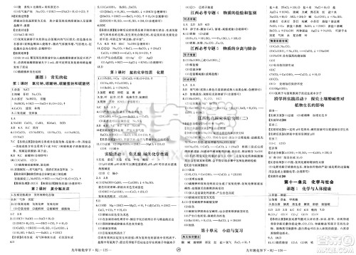 延边大学出版社2025年春优翼学练优九年级化学下册人教版江西专版答案