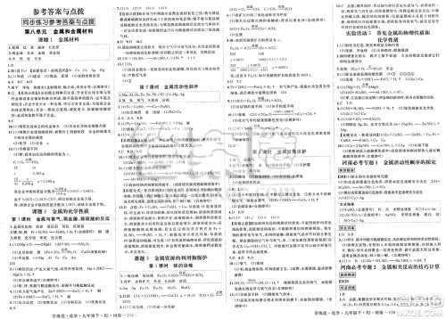 延边大学出版社2025年春优翼学练优九年级化学下册人教版河南专版答案