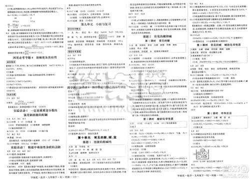 延边大学出版社2025年春优翼学练优九年级化学下册人教版河南专版答案