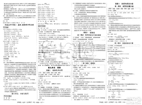 延边大学出版社2025年春优翼学练优九年级化学下册人教版河南专版答案