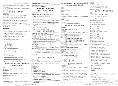 延边大学出版社2025年春优翼学练优九年级化学下册人教版河南专版答案