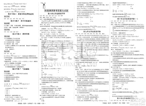 延边大学出版社2025年春优翼学练优九年级化学下册人教版河南专版答案