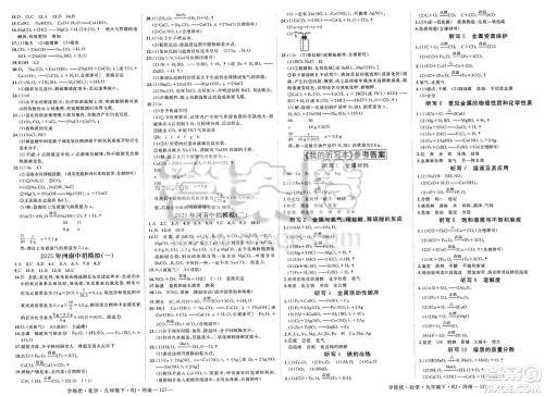 延边大学出版社2025年春优翼学练优九年级化学下册人教版河南专版答案