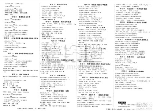 延边大学出版社2025年春优翼学练优九年级化学下册人教版河南专版答案