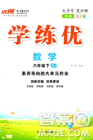 延边大学出版社2025年春优翼学练优六年级数学下册人教版答案