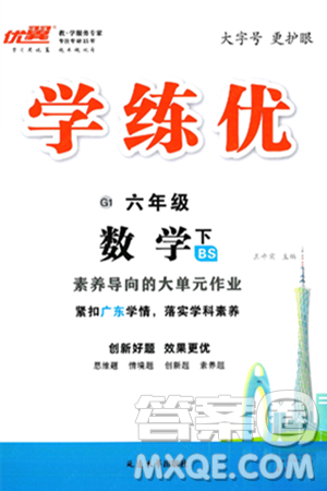 延边大学出版社2025年春优翼学练优六年级数学下册北师大版广东专版答案