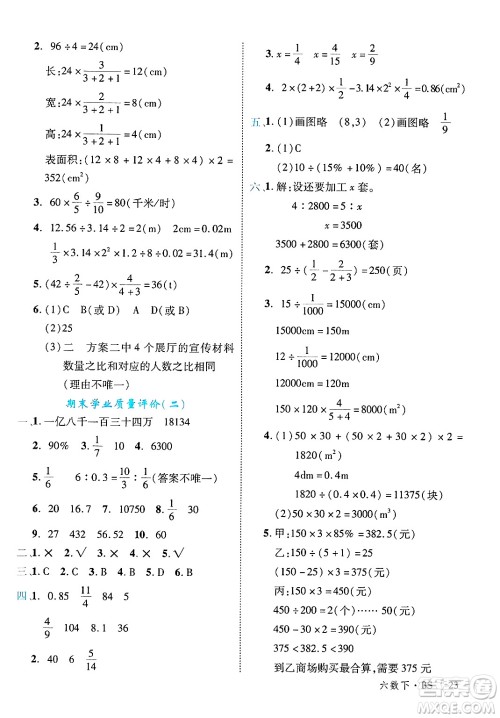 延边大学出版社2025年春优翼学练优六年级数学下册北师大版广东专版答案