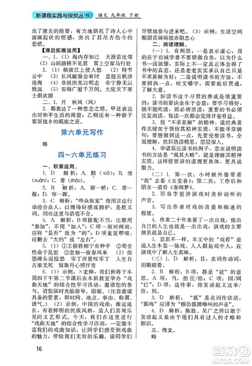 四川教育出版社2025年春新课程实践与探究丛书九年级语文下册人教版答案
