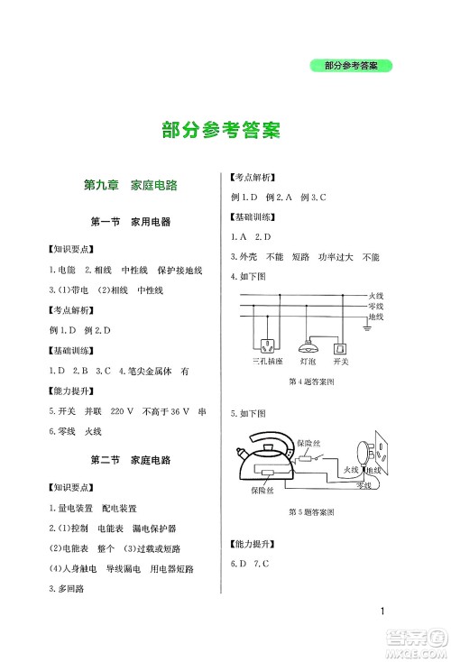 四川教育出版社2025年春新课程实践与探究丛书九年级物理下册教科版答案