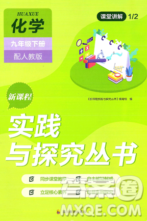 四川教育出版社2025年春新课程实践与探究丛书九年级化学下册人教版答案