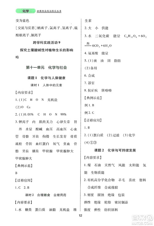 四川教育出版社2025年春新课程实践与探究丛书九年级化学下册人教版答案