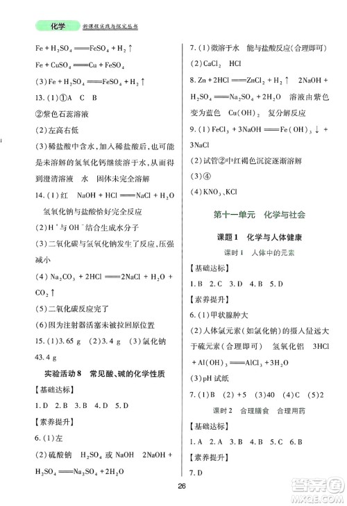 四川教育出版社2025年春新课程实践与探究丛书九年级化学下册人教版答案