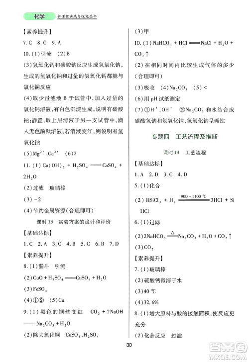 四川教育出版社2025年春新课程实践与探究丛书九年级化学下册人教版答案