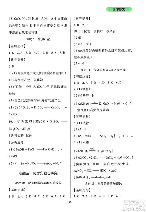 四川教育出版社2025年春新课程实践与探究丛书九年级化学下册人教版答案