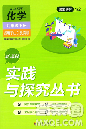 四川教育出版社2025年春新课程实践与探究丛书九年级化学下册鲁教版答案