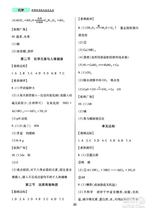 四川教育出版社2025年春新课程实践与探究丛书九年级化学下册鲁教版答案