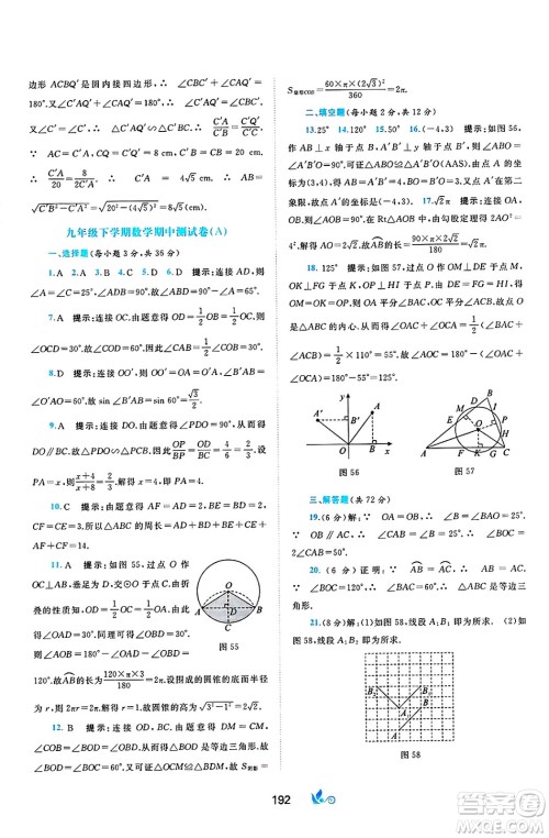 广西师范大学出版社2025年春新课程学习与测评单元双测九年级数学下册C版沪科版答案 广西师范大学出版社2025年春新课程学习与测评单元双测九年级数学下册C版沪科版答案