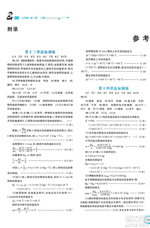 广西师范大学出版社2025年春新课程学习与测评单元双测九年级物理下册A版人教版答案
