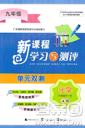 广西师范大学出版社2025年春新课程学习与测评单元双测九年级化学下册A版人教版答案