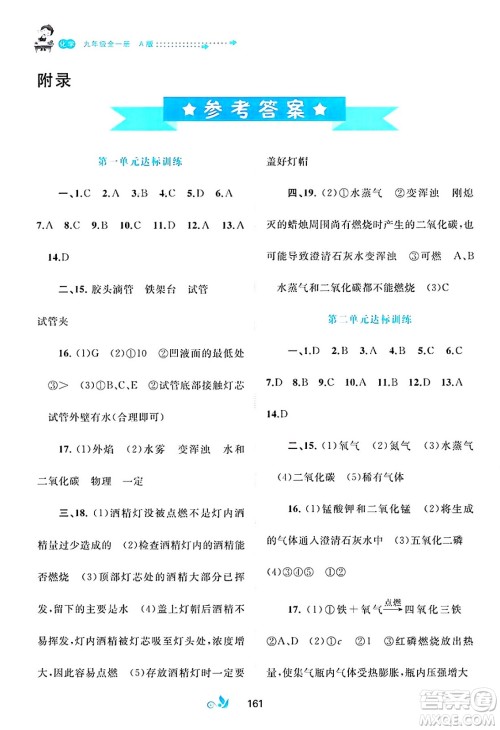 广西师范大学出版社2025年春新课程学习与测评单元双测九年级化学下册A版人教版答案