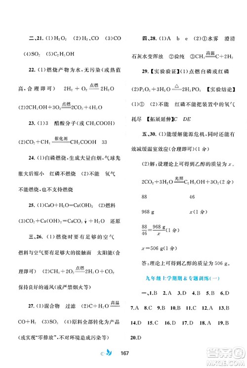 广西师范大学出版社2025年春新课程学习与测评单元双测九年级化学下册A版人教版答案