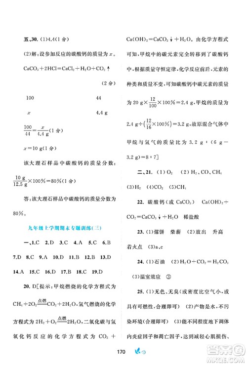 广西师范大学出版社2025年春新课程学习与测评单元双测九年级化学下册A版人教版答案