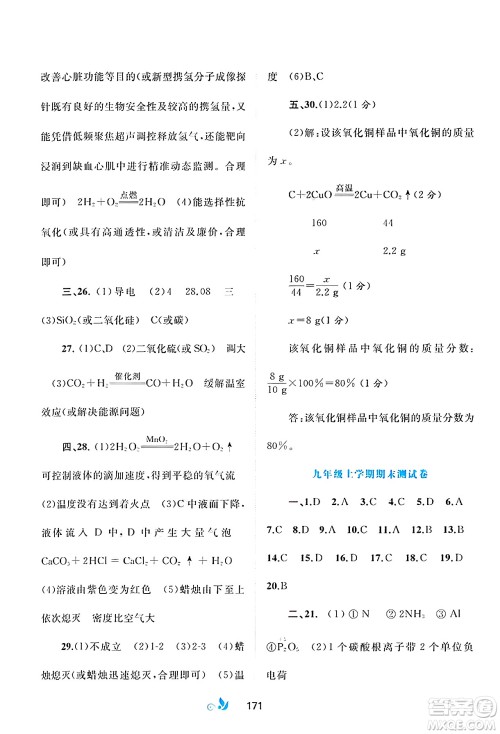 广西师范大学出版社2025年春新课程学习与测评单元双测九年级化学下册A版人教版答案