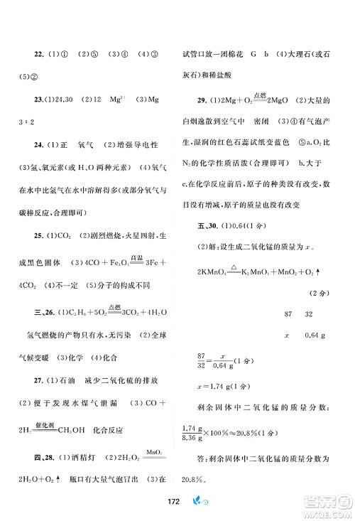 广西师范大学出版社2025年春新课程学习与测评单元双测九年级化学下册A版人教版答案