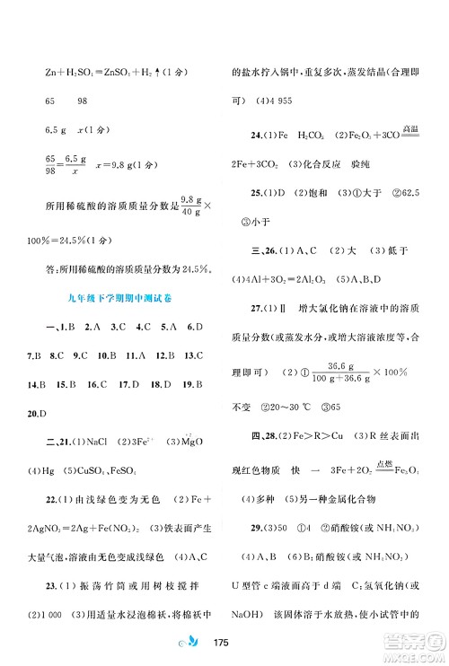 广西师范大学出版社2025年春新课程学习与测评单元双测九年级化学下册A版人教版答案