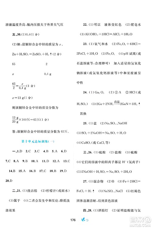 广西师范大学出版社2025年春新课程学习与测评单元双测九年级化学下册A版人教版答案