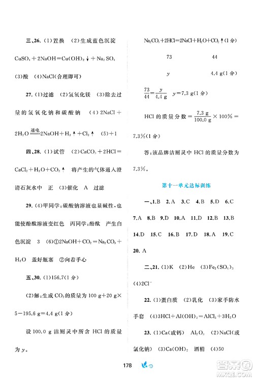 广西师范大学出版社2025年春新课程学习与测评单元双测九年级化学下册A版人教版答案