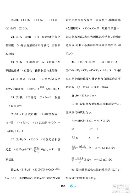 广西师范大学出版社2025年春新课程学习与测评单元双测九年级化学下册A版人教版答案